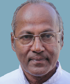 Rev. Fr George Marattukalam CMI (78)
